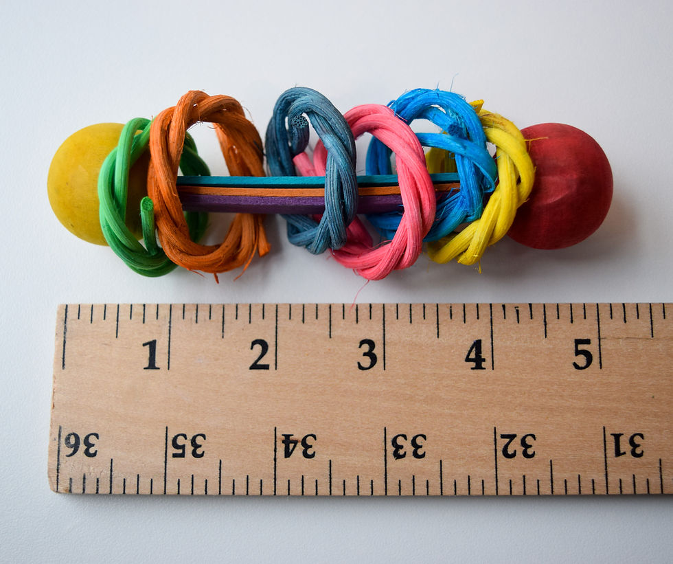 Thumbnail: Vine Ring Rattle