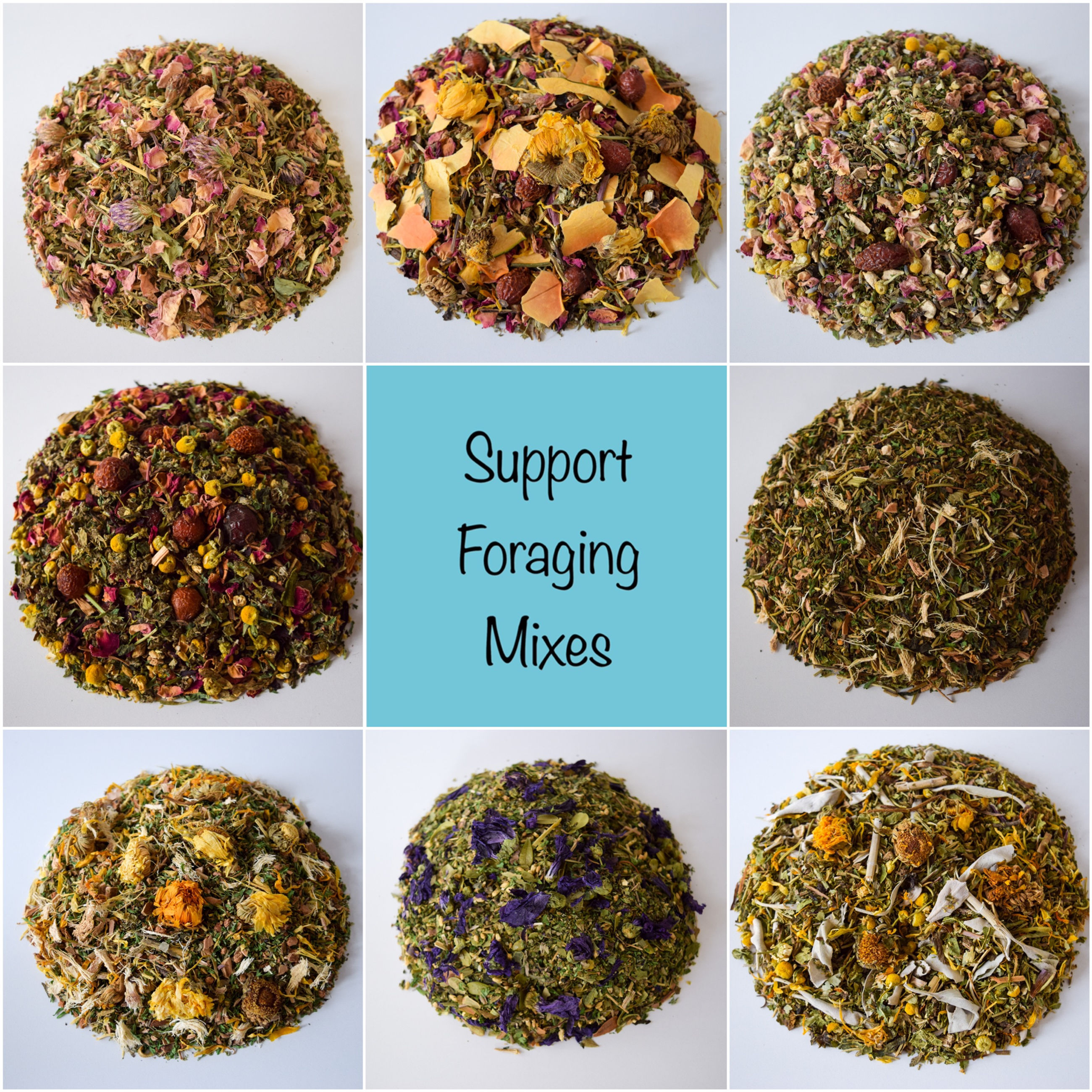 Support Foraging Mix Sample Box