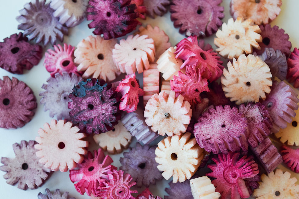 Thumbnail: Flavored Sola Daisies