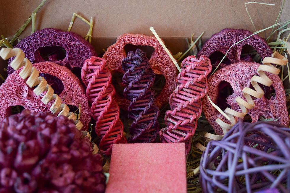 Thumbnail: The Ultimate Berry Flavored Toy Box