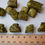 Thumbnail: Alfalfa Cube Treats