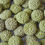 Thumbnail: Anti-Inflammatory Support Treats