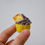 Thumbnail: Binky Cupcakes