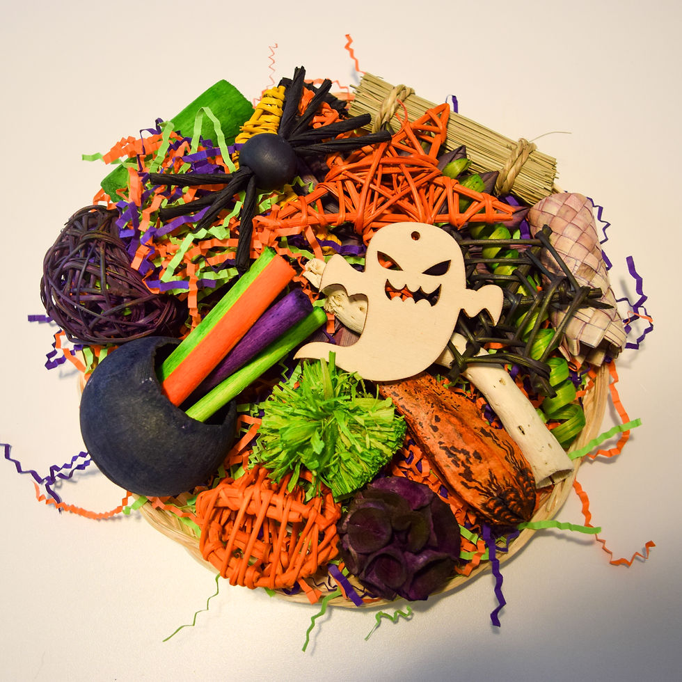 Spooky Halloween Plate