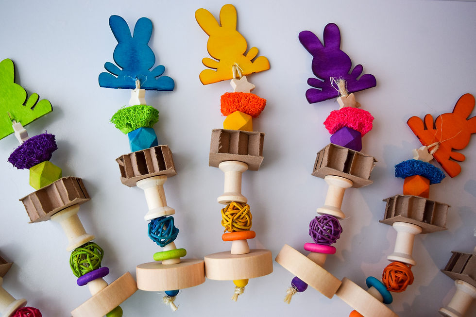 Thumbnail: Bright Bunny Toss Toy