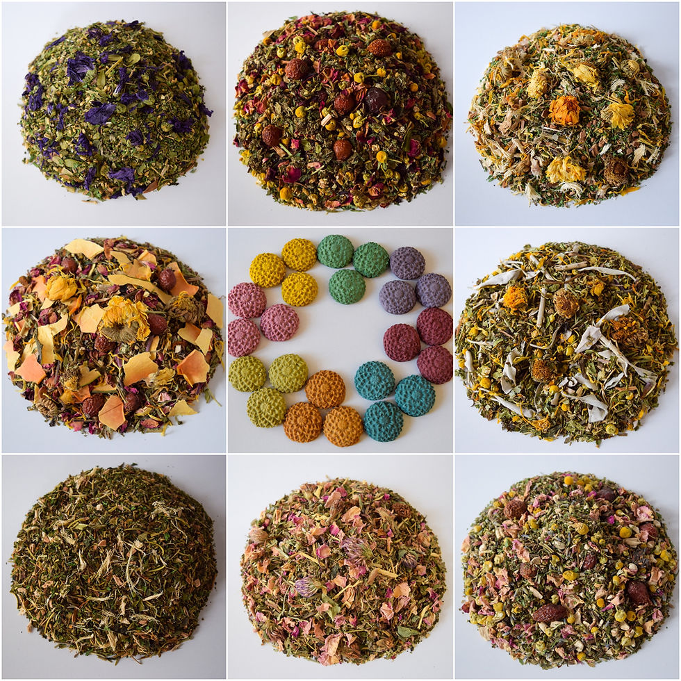 Thumbnail: Support Treats Sample Box