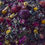 Thumbnail: Multi-Vitamin Support Foraging Mix