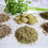 Thumbnail: Anti-Inflammatory Support Treats