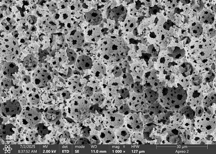BioChromatographix-AXISFLOW-1.jpg