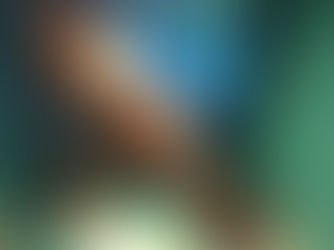 2 films en compétition officielle de FESTIMAJ-Festival Mondial des films scolaires