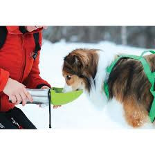 Messy Mutts Insulated Double Wall Travel Water Bottle With Flip Up