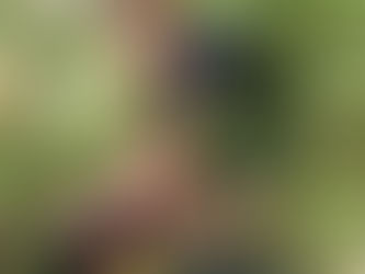 Mythic Gems - Coming Soon