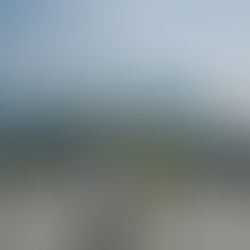 Shanghai - What to do? 