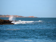 2022.02.19 perros guirec mer NOM.jpg