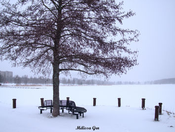 2023.01.09 arbre banc lac poteaux nom.jpg