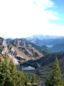 2022.10.31 lac d'arvouin arbres.jpg