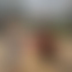 Circus Skills for Birthday Parties