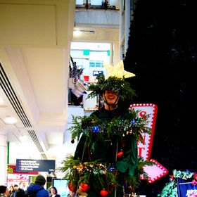 Themed Spectacles & Curiosities