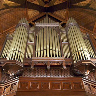 organ1.jpg