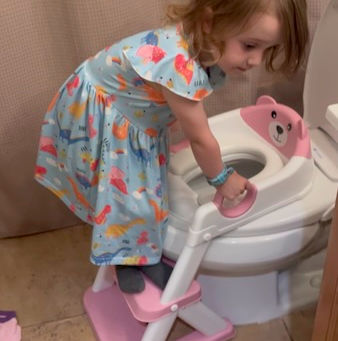 Cognitive Decline and Potty Training