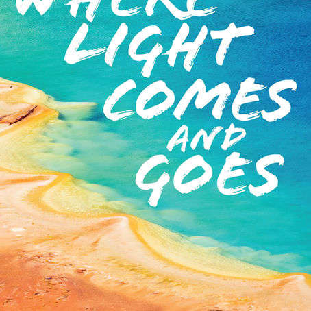 Election Healing, Sheltering with Nature, Where Light Comes and Goes, 2024