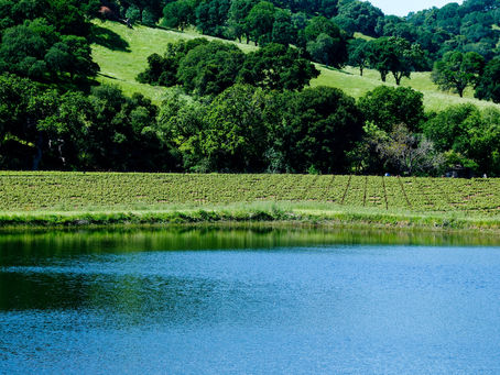 Water Matters!