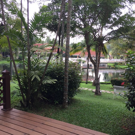 Circular Economy, Paradise Found, Identifying Bullies