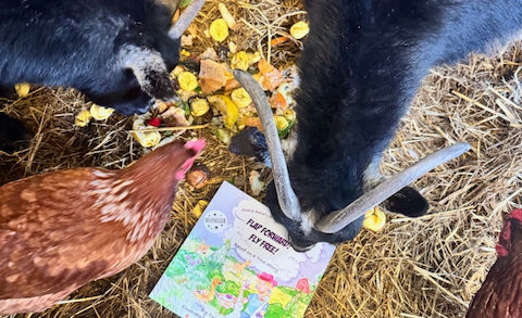 The goat is reading the book, flap forward! Fly Free!