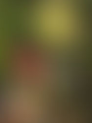 Eggs, Purple Haze, Child Discipline