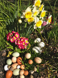 Eggs, Purple Haze, Child Discipline