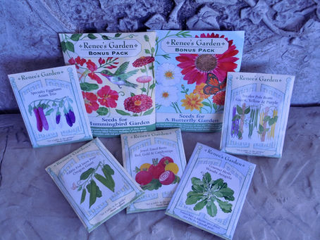 Healthy Weight, Quality Seed, Leaving our Comfort Zone