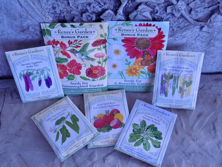 Healthy Weight, Quality Seed, Leaving our Comfort Zone