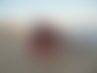 Road Trip Guide, Garden Rooms, Editing Tips