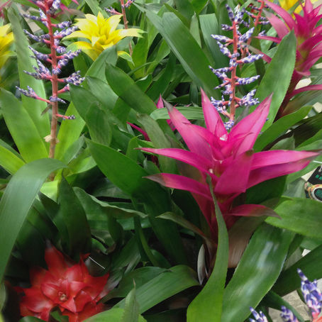 2023 Garden Trends Part 1