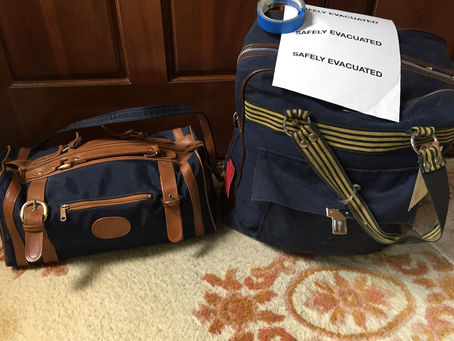 Emergency Go-Bag, Essential Lessons for Kids, Frightening Foxtails