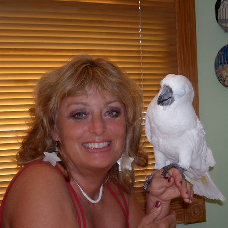 Pet Preparedness, Rape and Assault, Dead Man Talking