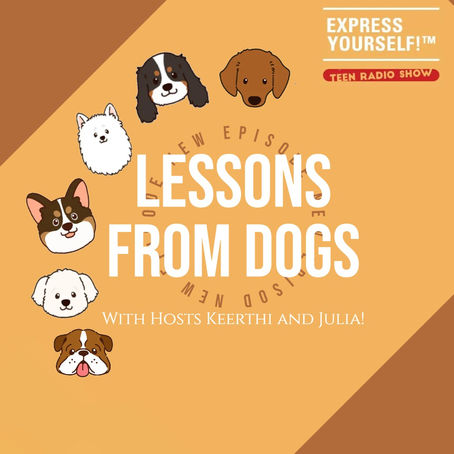 Lessons from Dogs