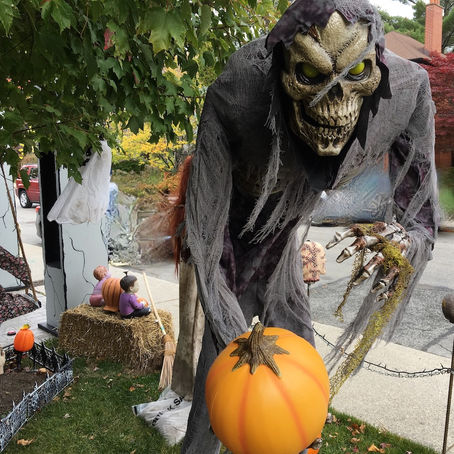Planting Mums, Dementia and Inflammation, Haunted Halloween