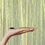 Thumbnail: Bamboo Toothbrush