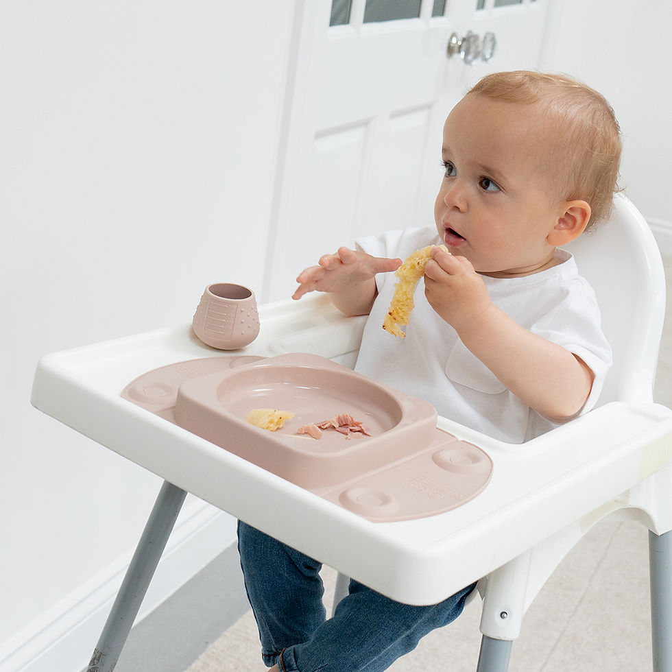 Thumbnail: EasyMat Mini Max - Mauve