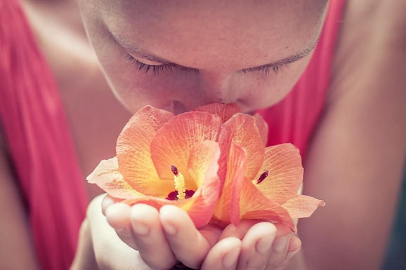 Olfactory sense