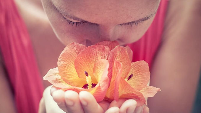 Olfactory sense