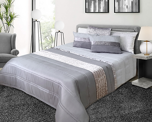 DREAM prata_edited.png