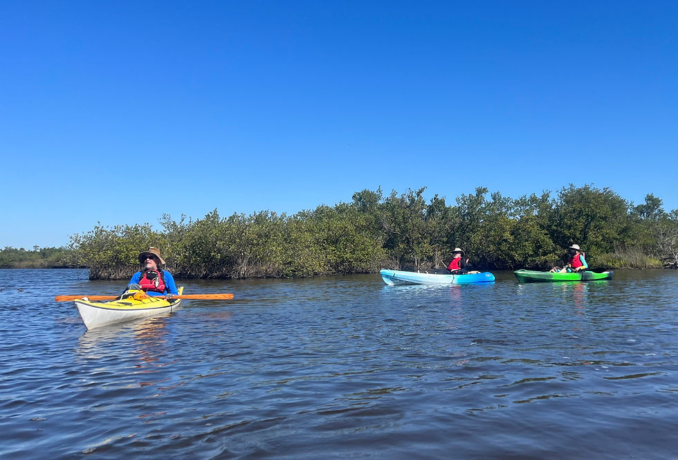KayakTour__2180.JPG