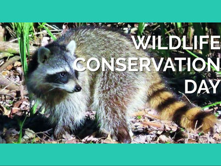 WILDLIFE CONSERVATION DAY  