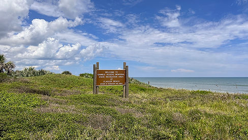 FL_GRMSRA_0541.jpg