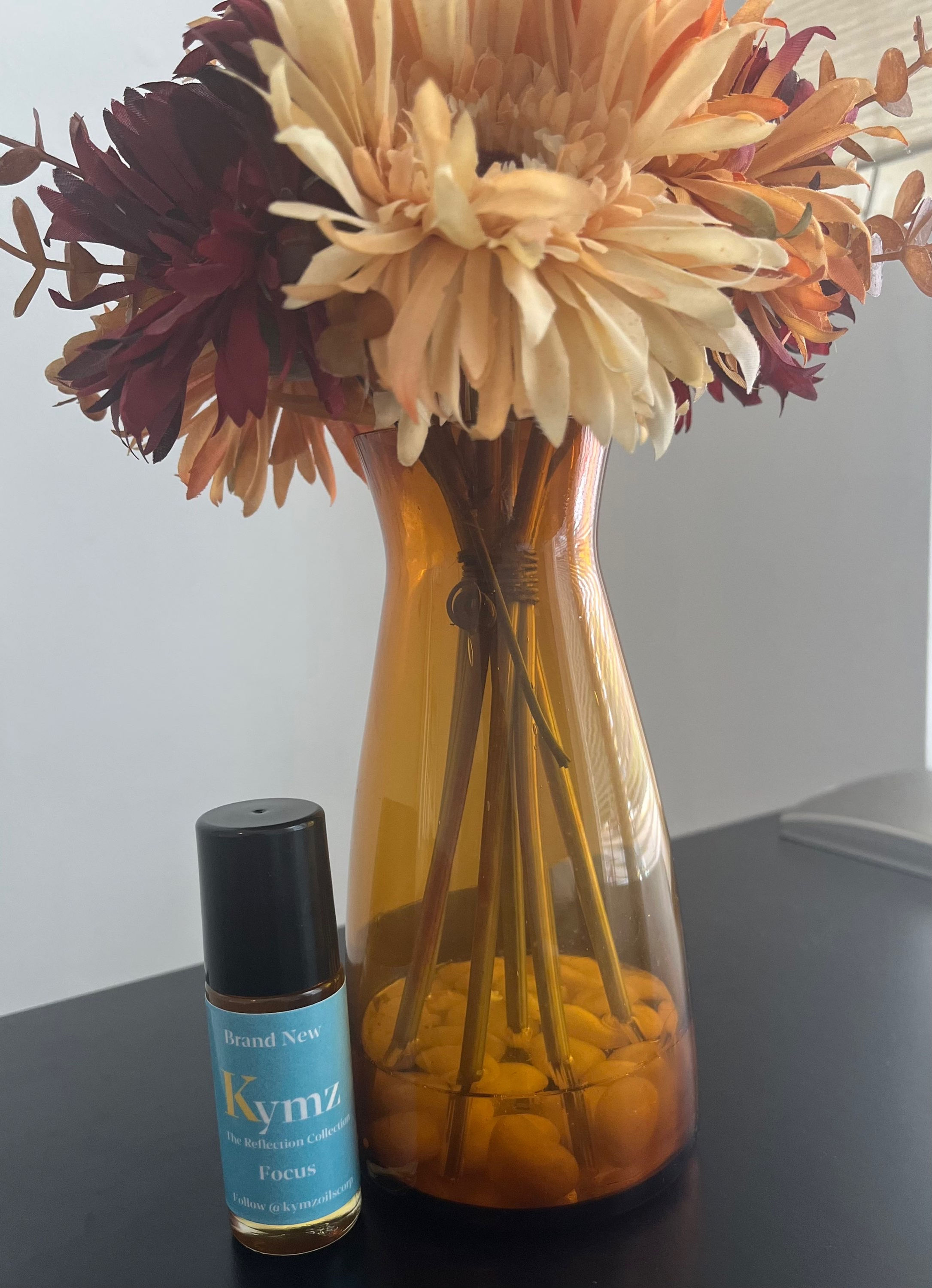 Focus (The Reflection Collection)