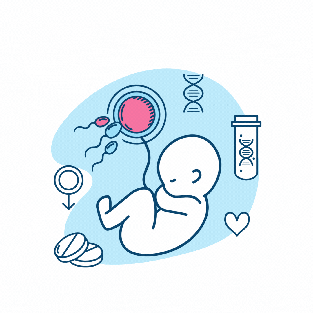 Copia de Agregar un título (1).gif