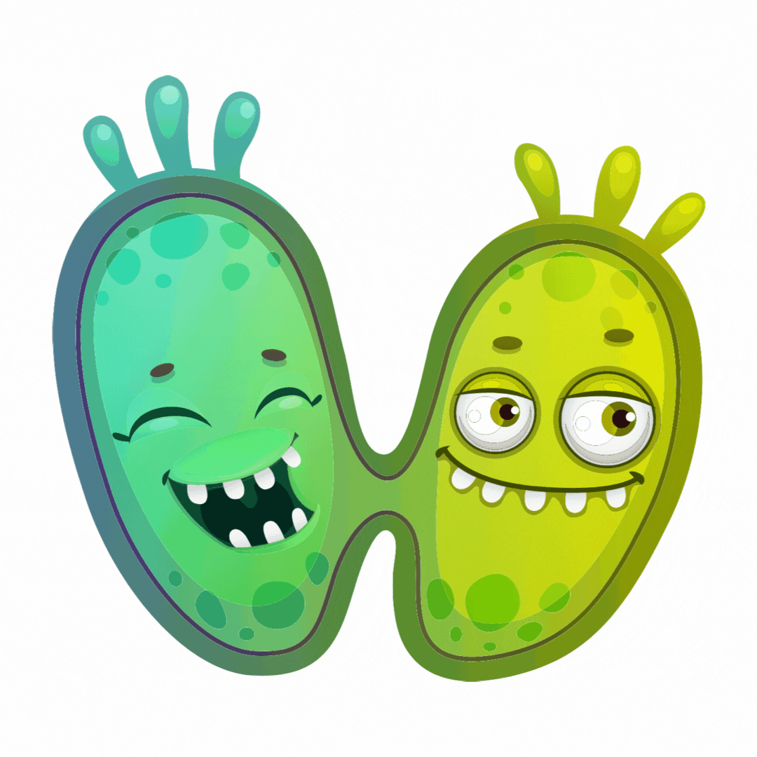 Copia de Copia de Sin título (19).gif