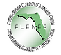 logo flenef.png